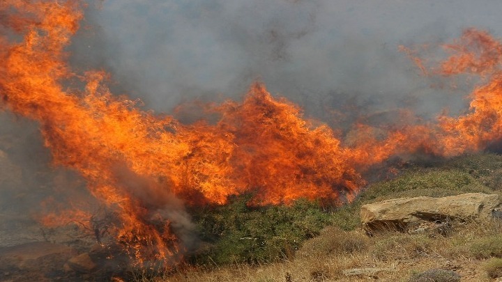 Πρόστιμα από την Πυροσβεστική σε δύο άτομα για φωτιές στην περιοχή της Ελασσόνας 